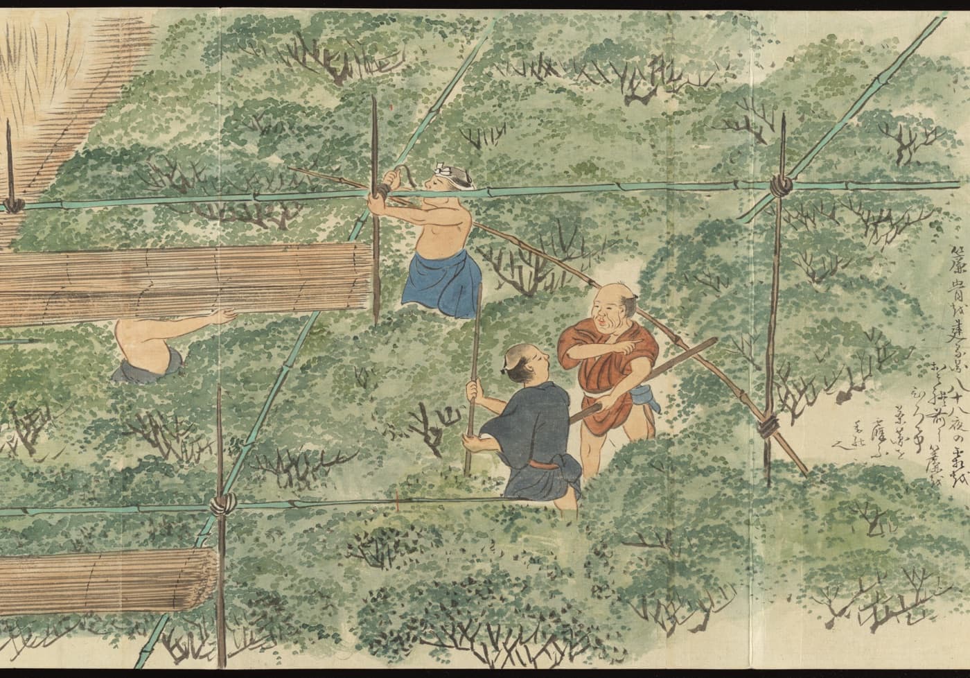 Painted scene: pickers among dense tea bushes